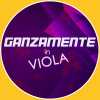 Ganzamente in viola